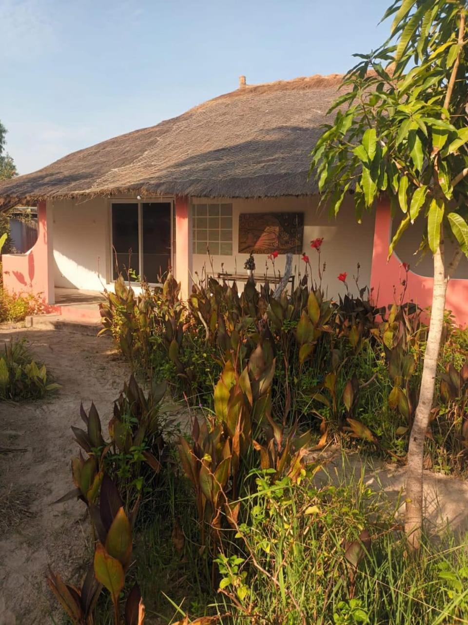 Campement Graine De Paradis Kachiouane 외부 사진
